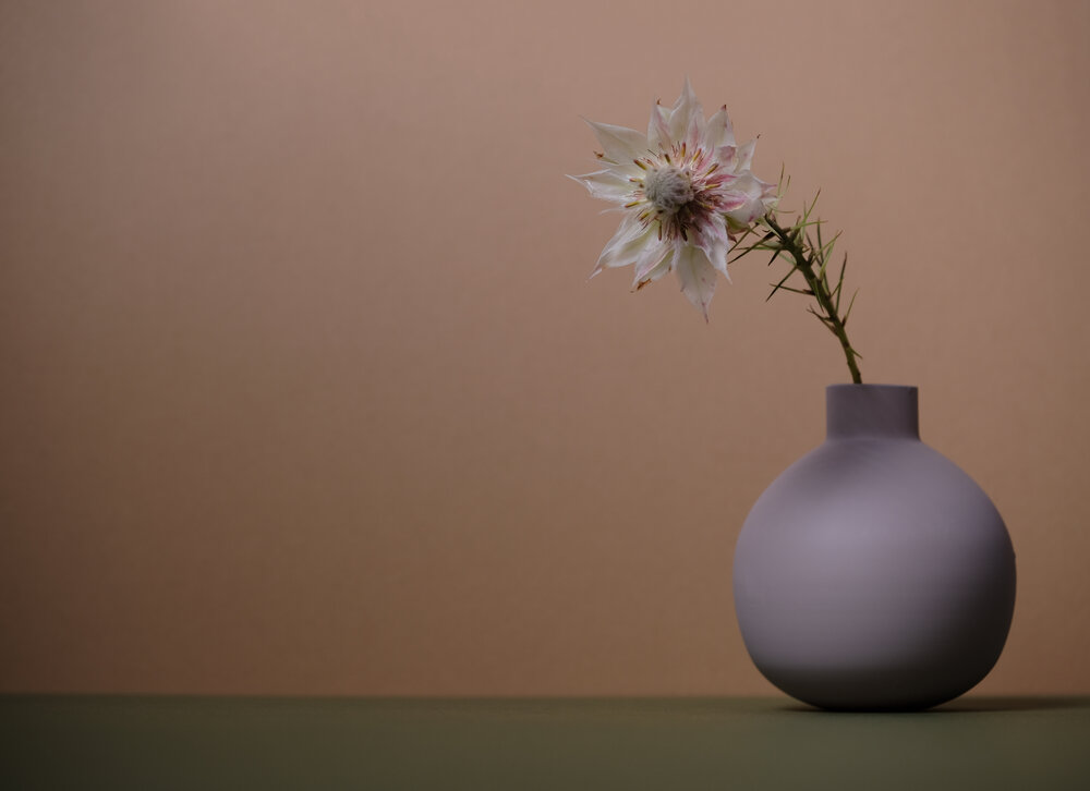 pastelstillife-330-Edit.jpeg